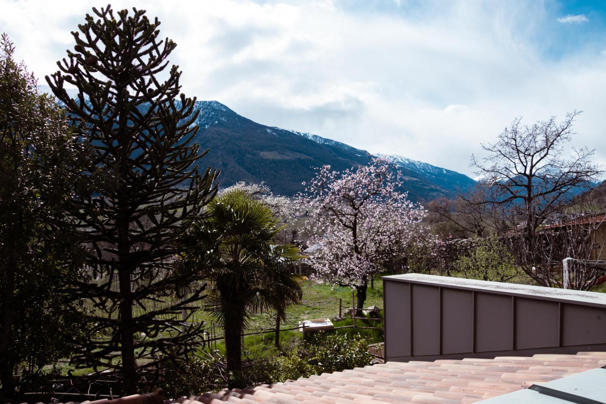 Garni Unterwegguetl Bed & Breakfast Naturns Dış mekan fotoğraf